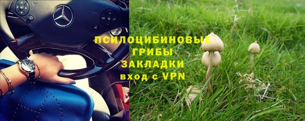 apvp Алзамай