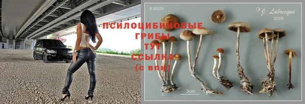 ECSTASY Алексин