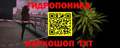 амф Кулебаки