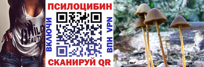 дарнет шоп  mega маркетплейс  Псилоцибиновые грибы Magic Shrooms  Котовск 