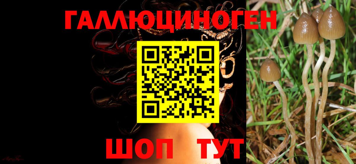 Псилоцибиновые грибы прущие грибы  Вход с VPN  Галлюциногенные грибы GOLDEN TEACHER  Котовск 
